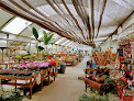 Negocio Viveros, Jardinería Y Proyectos La Solana S.l.