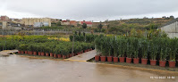 Negocio Viveros Perica