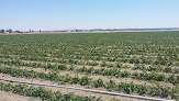 Negocio Viveros Rio Eresma Sl