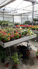 Negocio Viveros Y Flores Jose