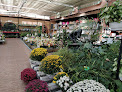 Negocio Viveros Y Floristerías Villamayor