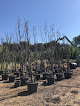 Negocio Vivers Moner Monerplant S L